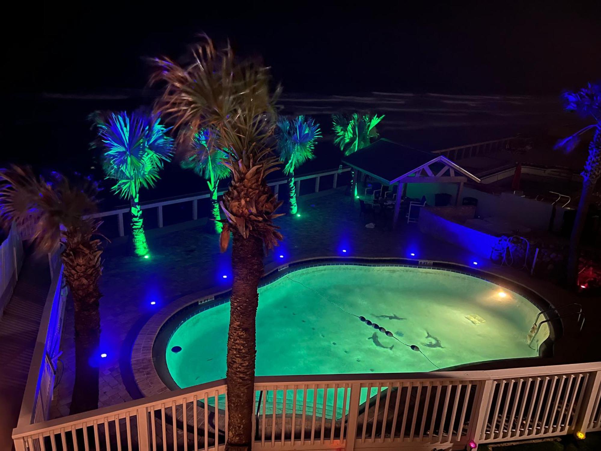 Flamingo Inn Beachfront - Daytona Beach Exteriör bild