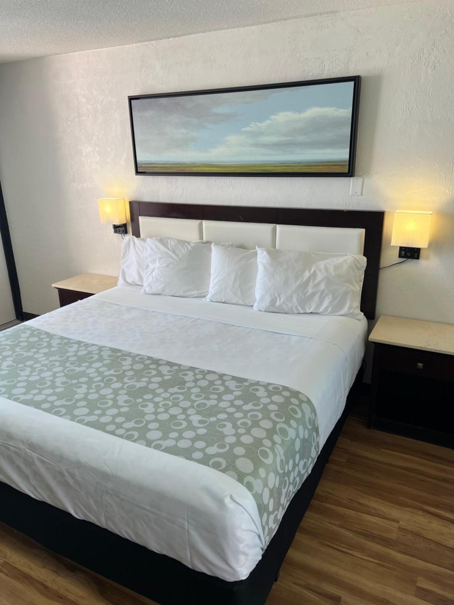 Flamingo Inn Beachfront - Daytona Beach Exteriör bild